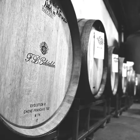 Wein- Und Sekthaus F.b.schönleber Oestrich-Winkel