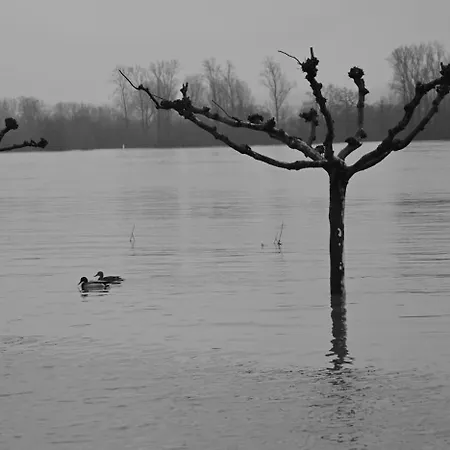 فندق Wein- Und Sekthaus F.b.schoenleber