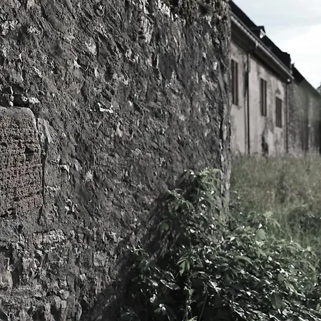 Wein- Und Sekthaus F.b.schönleber