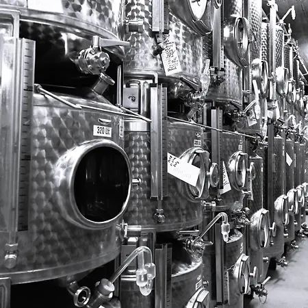 Wein- Und Sekthaus F.b.schönleber * Oestrich-Winkel