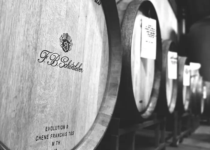 Wein- Und Sekthaus F.b.schoenleber Oestrich-Winkel