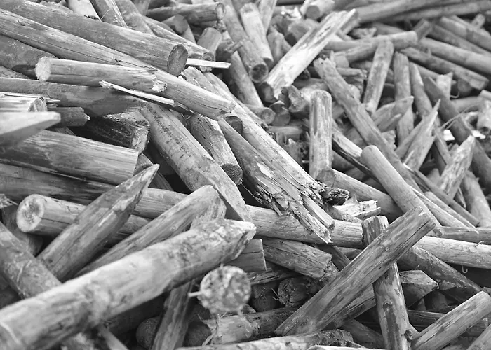 Wein- Und Sekthaus F.b.schoenleber Oestrich-Winkel