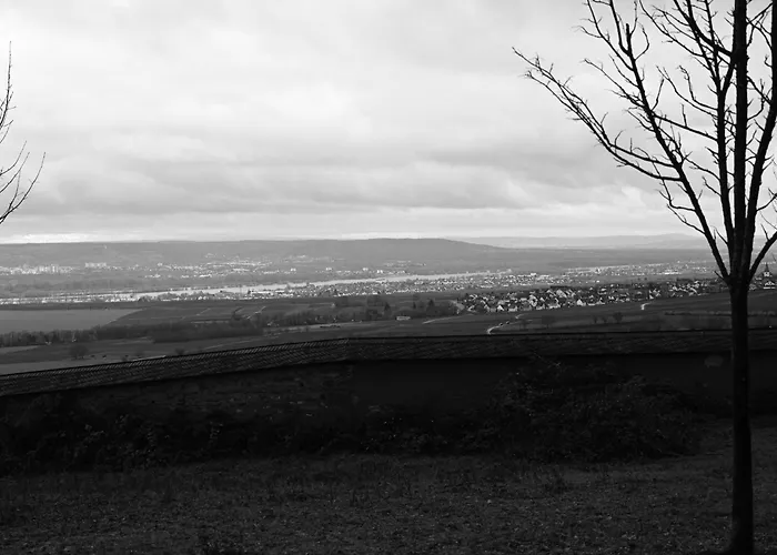 Wein- Und Sekthaus F.b.schoenleber * Oestrich-Winkel