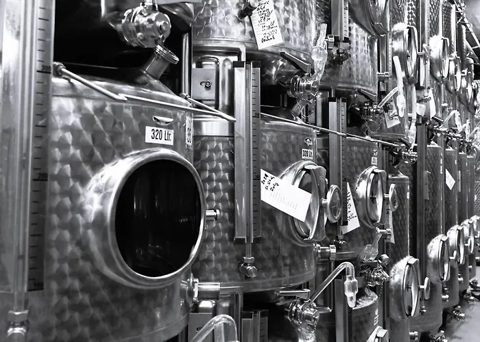 Wein- Und Sekthaus F.b.schoenleber * Oestrich-Winkel