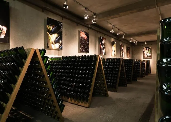 Hotel Wein- Und Sekthaus F.b.schoenleber